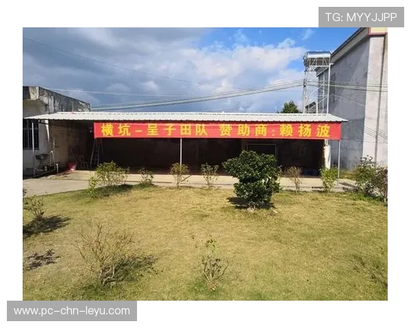 2026年篮球联赛青训导师跨区域轮岗名单公示，篮球青年队招聘