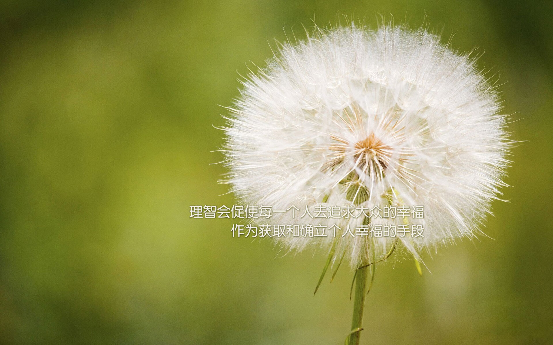 乐鱼体育官网优惠-200蝶争锋 乌兰多水中飞翔